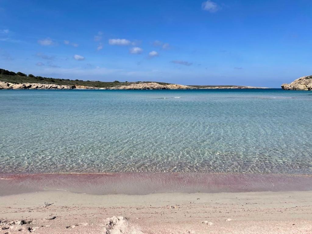 Apartamento Brisa De Menorca Сон-Парк Екстер'єр фото